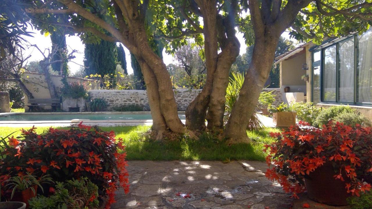 Apartament Sous Le Figuier... Buisson Zewnętrze zdjęcie